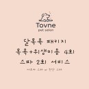 토브 펫 살롱 이미지