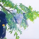 유림기획스포츠