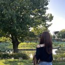 청산골포차 | 2023.10(1)