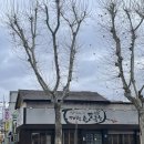 [내돈내산][대구 중구 삼덕동.경대병원 인근] 대백손칼국수_손칼국수.칼제비.해물파전 맛집