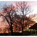 일표농장 이미지