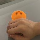 뉴트(Neut) 이미지