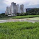 모전2리 이미지