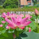 내동목장 이미지