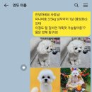 그루밍051 티스토리
