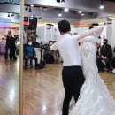 중앙스포츠댄스 이미지