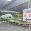 선바위매점