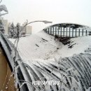 문창체육관 이미지