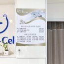 르네엔 스톤 테라피