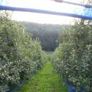 중근농장 이미지