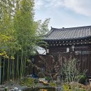 경주한과 | 경주 황리단길 분좋카 한옥 카페 신라당 경주 내돈내산 만족후기