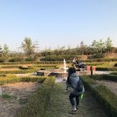 도그카페 이미지