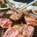 완이네 이미지