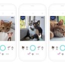 스노우가든 이미지