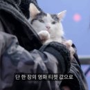 콰이어트 플레이스: 첫째 날 후기