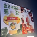 고잔동 술집 우리나라 술과 함께하는 주술곳간 추천 후기