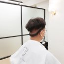 퍼니헤어 - 동해시 이원길 173 | 모발이식 붙임머리 언제부터 가능할까?