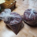 25년10월18일(토) 건고추13kg 빻기, 팥베기, 대추따기, 뽕나무가지전정 등 이미지