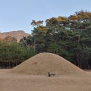 경애 Daum카페