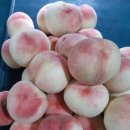 병준 농장 이미지