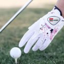 반양 골프 장갑 합피 양피 <b>반양</b>피 차이점 알아보기