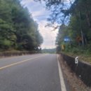 용화양강로 이미지