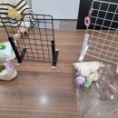 제제마크라메공방 네이버블로그