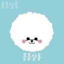 몽몽살롱 이미지