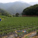 새 하나농장 이미지