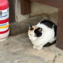 마블링 스테이 | 내돈내산 안동 물길스테이 후기 - 자쿠지와 바베큐 즐길 수 있는 독채 감성숙소