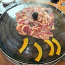 감골오리향 이미지