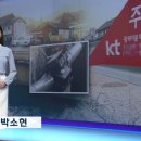 박소현 아나운서 - 3월 9일 KBS 뉴스 9 이미지