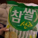 치즈치과교정과치과의원 네이버블로그