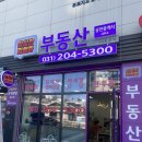 수원역서영더엘도토리공인중개사사무소 | [수원역 서영더엘, 고등동 푸르지오 공인중개사, 부동산 추천] “이상한 김엄마”