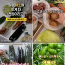 대가농산물마트 | 식명관 천원의행복 소분 판매 채소 내돈내산 후기