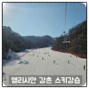 엘리시안 강촌 스키강습 비젼렌탈샵 가격 비용