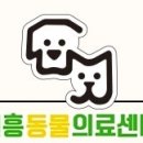 포인핸드 건강검진센터 이미지