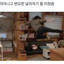 지하철 칸마다 변요한 두고 냄새나면 날라차기 이미지