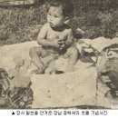 김두호의 "별들의 고향"(<엄마가 뿔났다>의 이순재 알뜰 아내의 추억) 이미지