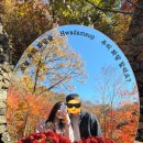 지에스25원앙베스트점 | 2025 가을시즌 월요일 화담숲 늦게 입장한 후기, 화담숲 입장시간, 취소표 예매 및 주차 꿀팁 &amp; 스탬프...