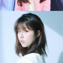 일진란제리 이미지