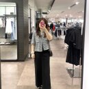 데일리룩 : ZOOC 주크 셔츠형 트위드 반팔 자켓 V242MSF952 내돈내산