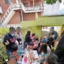 나무 206 이미지