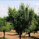 장이익어가는마을 이미지