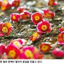 파르라니