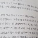 쿠쿠스