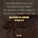 [해충종결] 밟는 순간 신경독 퇴치! 바퀴벌레부터 빈대, 지네까지 철벽 마운트하는 페스트세븐가드 핵심...