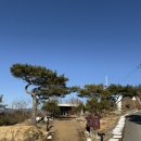 청도 글램핑 대구 근교 감성 캠핑 캠프닉 헬로선샤인아이와함께 가볼만한곳