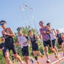 아르피아 이미지