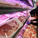 외교목장 이미지